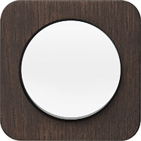 Berker R.1, Рамка: морёный натуральный дуб. Вставка: полярная белизна