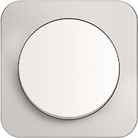 Berker R.1, Рамка: анодированный алюминий. Вставка: полярная белизна