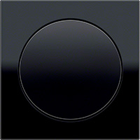 Berker R.8, Рамка: черный. Вставка: черный. Стекло