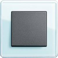 GIRA, Esprit, Цвет: Салатовое стекло Glass C / Антрацит