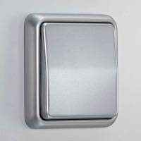 JUNG, CD 500, Цвет: Платина