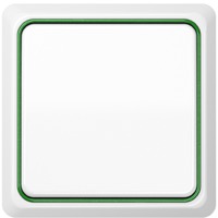 JUNG, CD plus, Цвет: Белый / Зеленый металлик