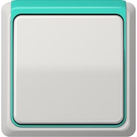 JUNG, CD plus, Цвет: Светло-серый / Салатовый