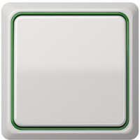 JUNG, CD plus, Цвет: Светло-серый / Зеленый металлик