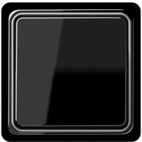 JUNG, CD plus, Цвет: Черный / Нержавеющая сталь