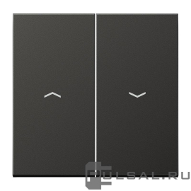 Клавиши для выключателя жалюзи
LS 990,  LS-design,  без фиксации,  с фиксацией,  без подсветки,   цвет - антрацит,  металл,  AL2995PAN,  AL 2995 P AN,  JUNG
 - PULSAL.RU