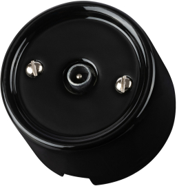 Розетка оконечная
Болонь,  телевизионная (TV),  одинарная,   цвет - черный,  фарфор / керамика,  SQ1820-0253,  TDM
 - PULSAL.RU