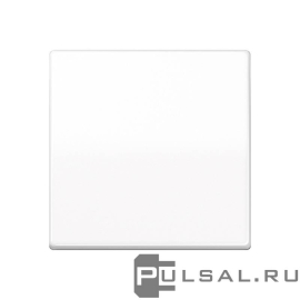 Клавиша
AS 500,  одноклавишный,  без подсветки,   цвет - белый,  пластмасса,  AS591WW,  AS 591 WW,  JUNG
 - PULSAL.RU