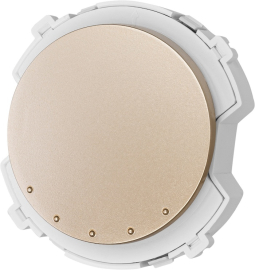 Переключатель
Байкал,  одноклавишный,  без подсветки,   цвет - шампань,  пластмасса,  SQ1819-0531,  TDM
 - PULSAL.RU