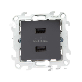 Розетка USB, 2,1А
Simon 24 Harmonie,  USB type-A 5V,  двойная,   цвет - графит,  пластмасса,  2411096-038,  Simon
 - PULSAL.RU