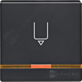 Hакладка карточного выключателя
Q.1,  Q.3,  Q.7,  с индикацией,   цвет - антрацит бархат,  пластмасса,  16406086,  1640 60 86,  Berker
 - PULSAL.RU