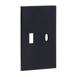 Лицевая панель для зарядки USB
Soft Touch,  USB type-C 5V,  USB type-A 5V,  двойная,   цвет - черный матовый,  пластмасса,  AG12C,  MEITON
 - PULSAL.RU