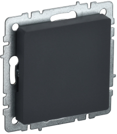 Заглушка
BRITE,   цвет - графит,  пластмасса,  BR-PL10-K53,  IEK
 - PULSAL.RU