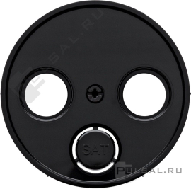 Накладка
R.1,  R.3,  R.8,  R.Classic,  телевизионная (TV),  спутниковая (SAT),  радио (R),  двойная,  тройная,   цвет - черный глянцевый,  пластмасса,  12032045,  1203 20 45,  Berker
 - PULSAL.RU