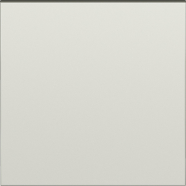 Клавиша для перекрестного переключателя
S08,  одноклавишный,  без подсветки,   цвет - шампань,  пластмасса,  DS29751,  Donel
 - PULSAL.RU