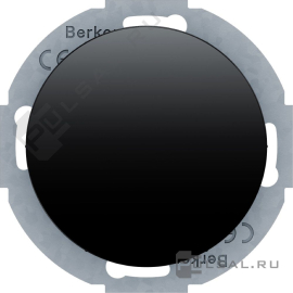 Заглушка без монтажных лапок
R.Classic,   цвет - черный глянцевый,  пластмасса,  10092035,  1009 20 35,  Berker
 - PULSAL.RU