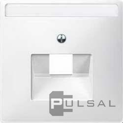 Накладка с полем для надписи (наклонный ввод)
Antique,  Artec,  одинарная,   цвет - полярно-белый,  пластмасса,  MTN291819,  MEG291819,  Merten
 - PULSAL.RU