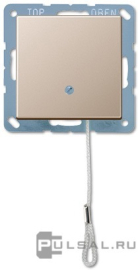 Выключатель со шнурком
A VIVA,  A creation,  A 550,  A flow,  без подсветки,   цвет - шампань,  пластмасса,  A506BFNUZCH,  A 506 BF NUZ CH,  JUNG
 - PULSAL.RU