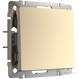 Выключатель
Alumax,  Split,  Slab,  Senso,  Baguette,  Acrylic,  Platinum,  Elite,  Snabb,  Stream,  Flock,  Stark,  Fiore,  Favorit,  Diamant,  Aluminium,  Antik,  Metallic,  одноклавишный,  без подсветки,   цвет - шампань,  пластмасса,  W1110011,  a050869,  Werkel
 - PULSAL.RU