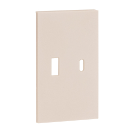 Лицевая панель для зарядки USB
Soft Touch,  USB type-C 5V,  USB type-A 5V,  двойная,   цвет - песочный матовый,  пластмасса,  AM12C,  MEITON
 - PULSAL.RU