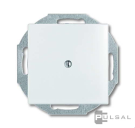 Кабельный вывод
Basic 55,   цвет - альпийский белый,  пластмасса,  2527-94-507,  2CKA001710A3772,  ABB
 - PULSAL.RU