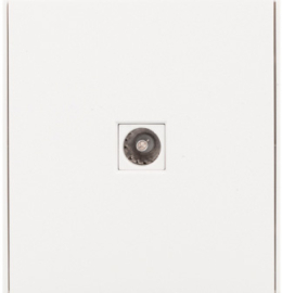 Розетка оконечная
Miele Strong,  телевизионная (TV),  одинарная,   цвет - жемчуг,  пластмасса,  KR-78-0723-4,  Kranz
 - PULSAL.RU